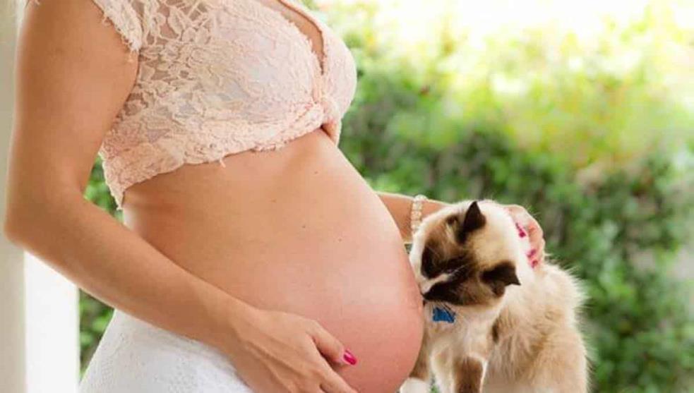 Con la Higiene y cuidados básicos es muy Benéfico tener una mascota en el Hogar, en casi cualquier etapa de nuestra vida, a menos que haya alguna reacción alérgica muy desfavorable... Relájate, ten Confianza y AMA a tus Mascotas